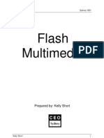 Flash Multimedia