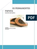 Cultivo Papaya