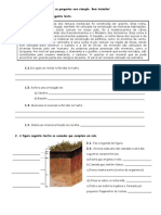 solos e rochas 5º