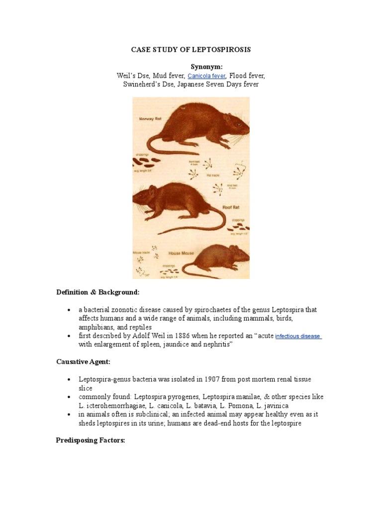 Case Study of Leptospirosis Rtt Health Sciences