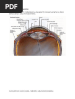 Download Keratitis by Farhana Azzira SN170923250 doc pdf