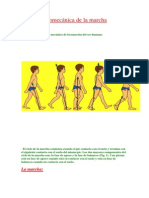 Biomecánica marcha 6 fases