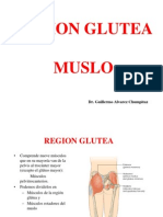 Clase 5 Region Glutea - Muslo