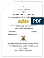 SPICE DIGITAL - Final - Formatted