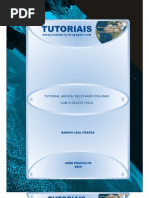 Download Tutorial ArcGIS - Deletando Colunas Com o Delete Field by Ramon Leal Pessa SN17097237 doc pdf