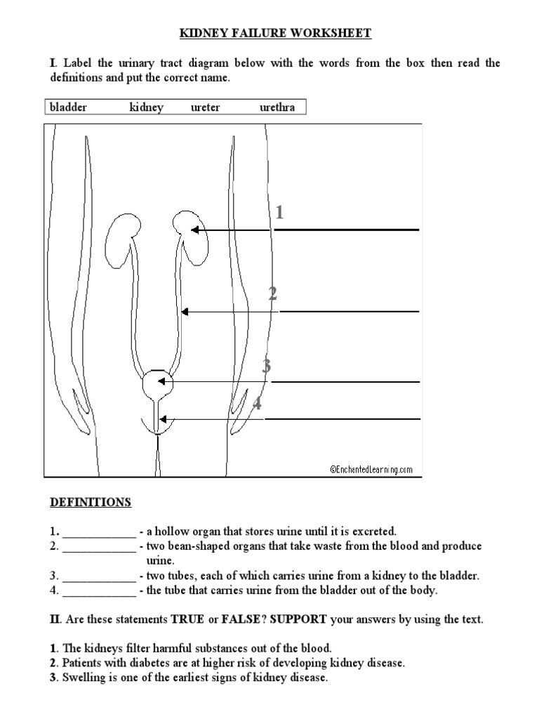 Kidney Failure Worksheet | Kidney | Kidney Disease | Free 30-day Trial