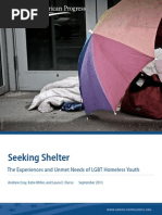 Download Seeking Shelter The Experiences and Unmet Needs of LGBT Homeless Youth by Center for American Progress SN171002894 doc pdf