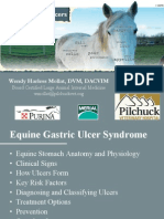 Equine Gastric Ulcers / A Presentation by Wendy Harless Mollat, DVM, DACVIM, Pilchuck Veterinary Hospital 