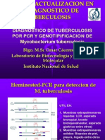 07 Caceres Diagnostico TB PCR Genotipificacion Mycobacterium Tuberculosis