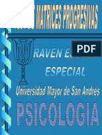 Test Matrices Progresivas RAVEN