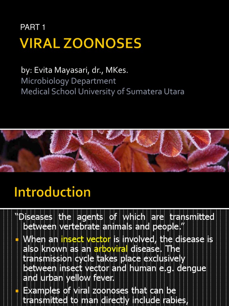 K17.Viral Zoonosis | Virus | Rabia