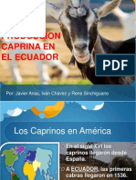 Caprinos Ecuador