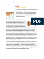 Fisiología del sonido: Aparato auditivo y voz humana