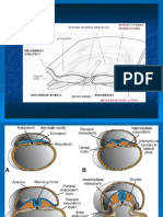 Morfología Del Sistema Articular