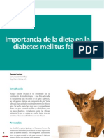 CV - 33!26!29 - Importancia de La Dieta en La Diabetes Mellitus Felina