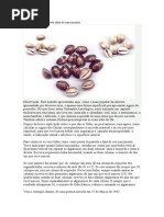 Calcule seus Odús pela data de nascimento