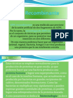 adnrecombinante-100113150846-phpapp01