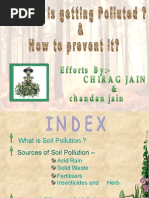 Download Soil Pollution by chandan9 SN17110588 doc pdf