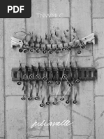 TNWMLC . Apresentação