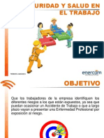 Seguridad y Salud en El Trabajo PDF