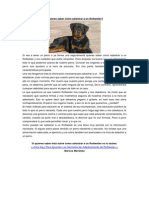 Adiestrar a Un Rottweiler