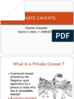 9privatecaveats 130615073018 Phpapp01
