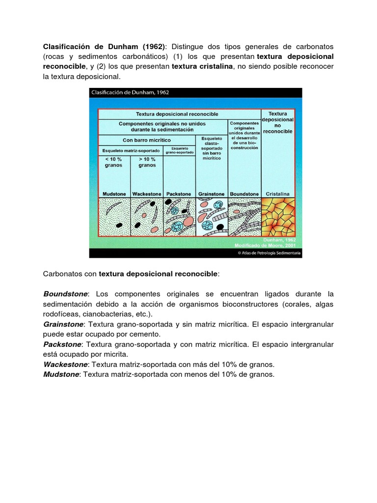 Clasificacion de Dunham | PDF
