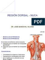 Region Dorsal y Nuca - Dr. Sandoval