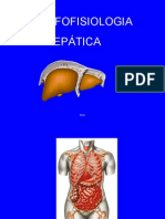 Aula 1 - Morfofisiologia Hepática