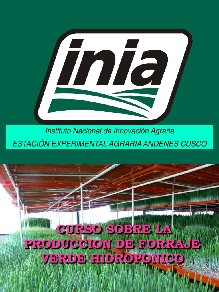 Verde Forraje Pdf Hidroponico Colombia