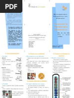 Prevenção de Toxinfecções Alimentares