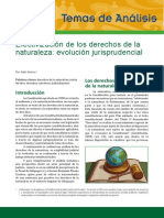 CEDA_analisis_Nº27_noviembre_2012_evolucion_jurisprudencial_DDNN