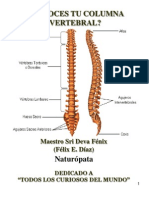 ¿Conoces... Tu Columna Vertebral?