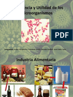 Importancia y Utilidad de Los Microorganismos