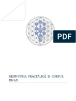 Geometria Fractalica Si Corpul Uman