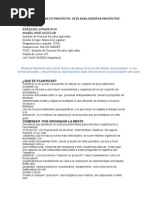 7 Como Elaborar Un Proyecto Ander-egg