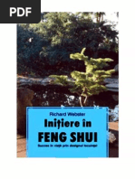 Download Initiere in Feng Shui by Celina Mayo SN171373651 doc pdf