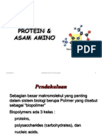 2013 2 Protein & Asam Amino Send