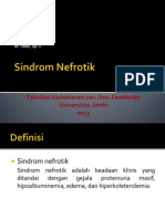 Sindrom Nefrotik