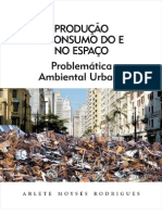 Produção e Consumo No Espaço