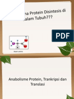 Pembentukan Protein