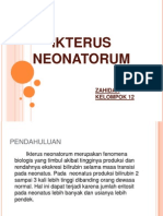 Ikterus Neonatorum