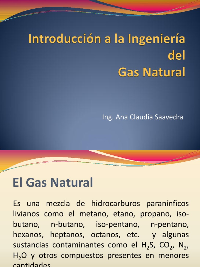 Composición y Uso del Gas Natural | PDF | Gas natural | Petróleo