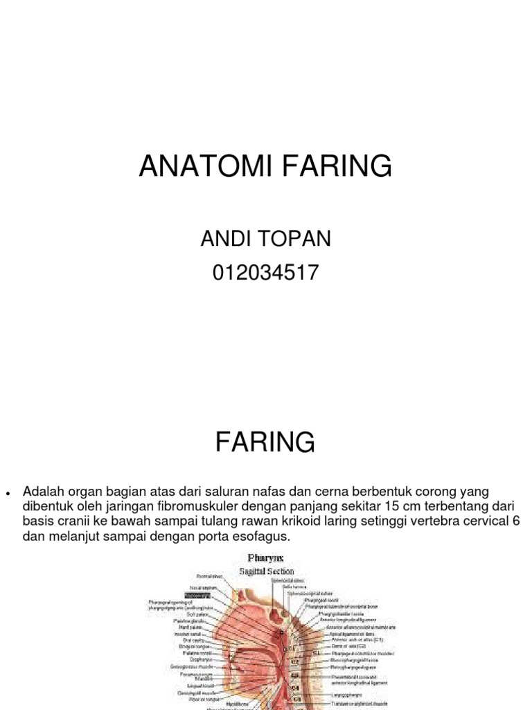 Anatomi Faring Presentasi | PDF