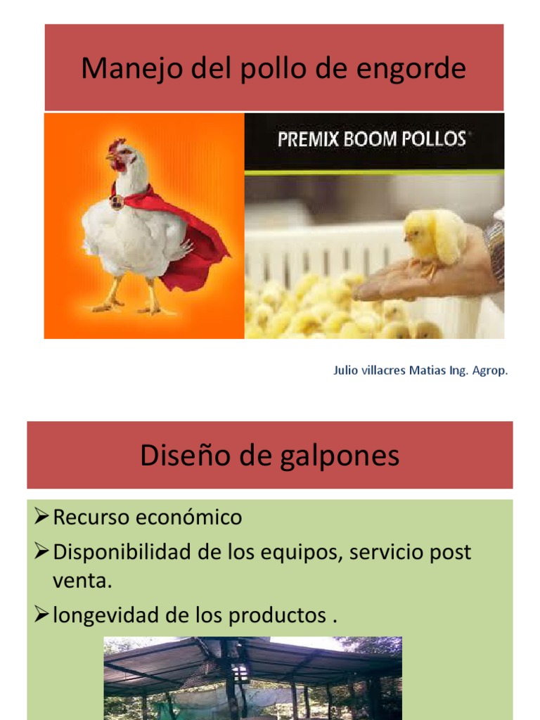 Manejo Eficiente del Pollo de Engorde | PDF | Aves | Caldera