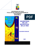 Acidos Nucleicos Summary