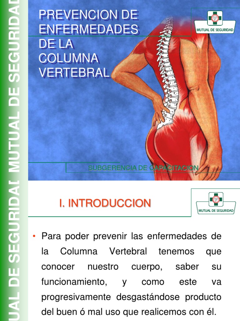 Prevencion de Enfermedades de La Columna Vertebral | PDF | Vértebra ...