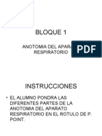 Anotomia Del Aparato Respiratorio