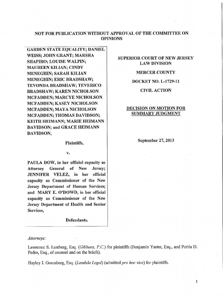 Decision Summary Judgment | PDF