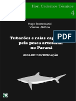 Tubarõs e Raias Capturadas pela Pesca Artesanal no Paraná (Guia de Identificação)